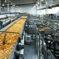 Food Processing